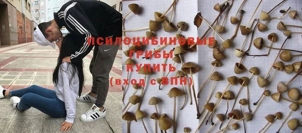 крисы Балабаново