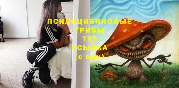 крисы Балабаново