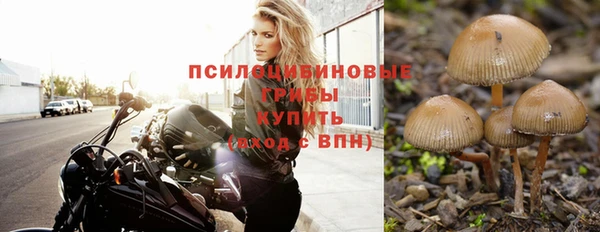 соль курить ск Баксан